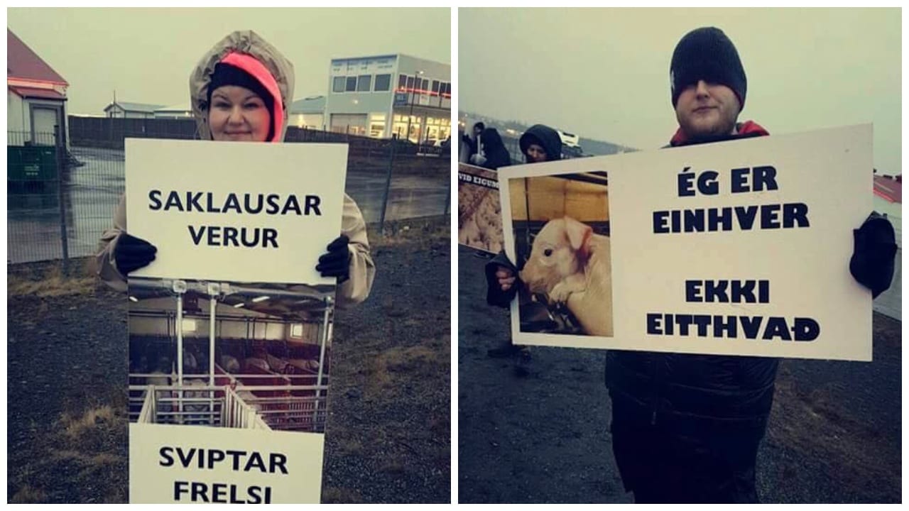 Mona spurði hinsegin vinkonur sínar fordómafullra spurninga: „Hvernig er ástandið þegar þið eruð báðar á túr?“