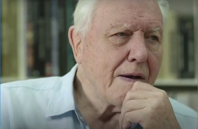 David Attenborough ræðir einn stærsta VANDA jarðar - 