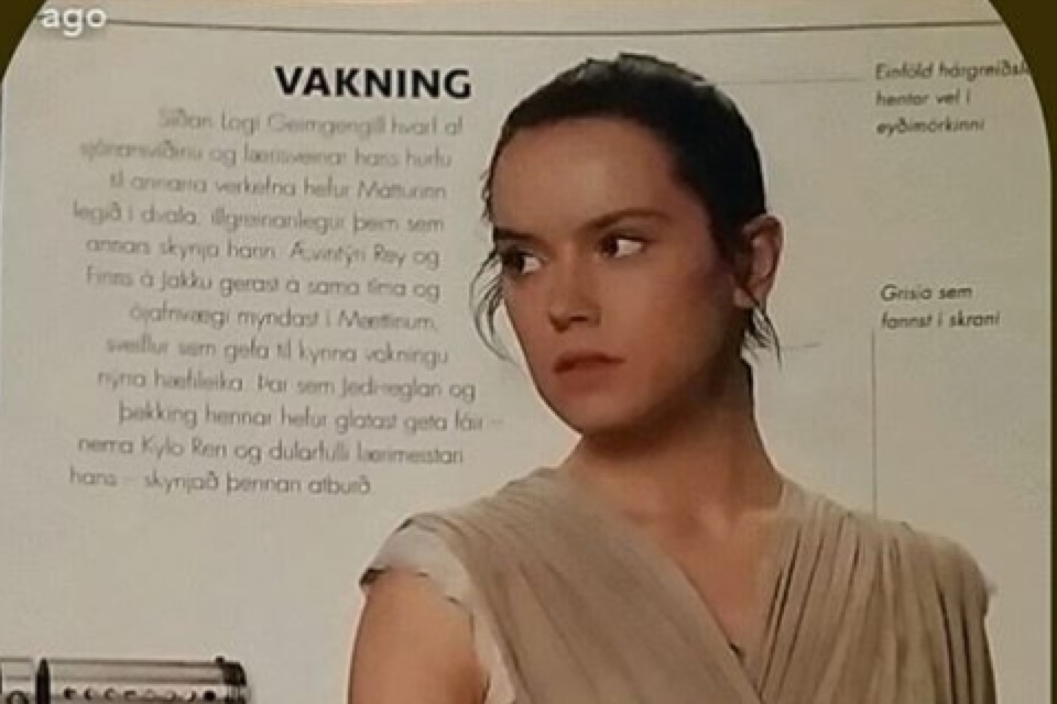 Greipur náði að endurskapa aðal KVENHETJU Star Wars á ótrúlegan hátt! - MYNDIR