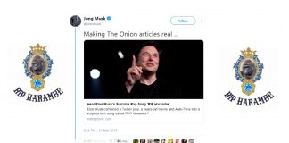 Elon Musk gefur út rapplag tileinkað górillunni Harambe