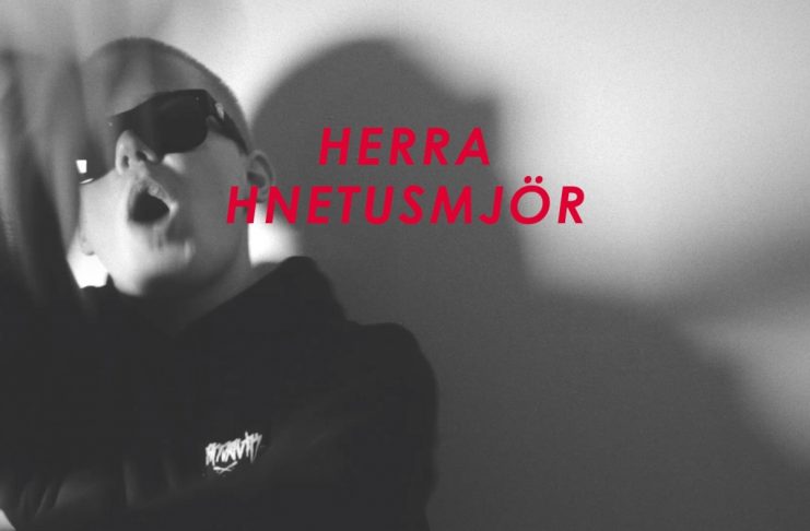 Herra Hnetusmjör