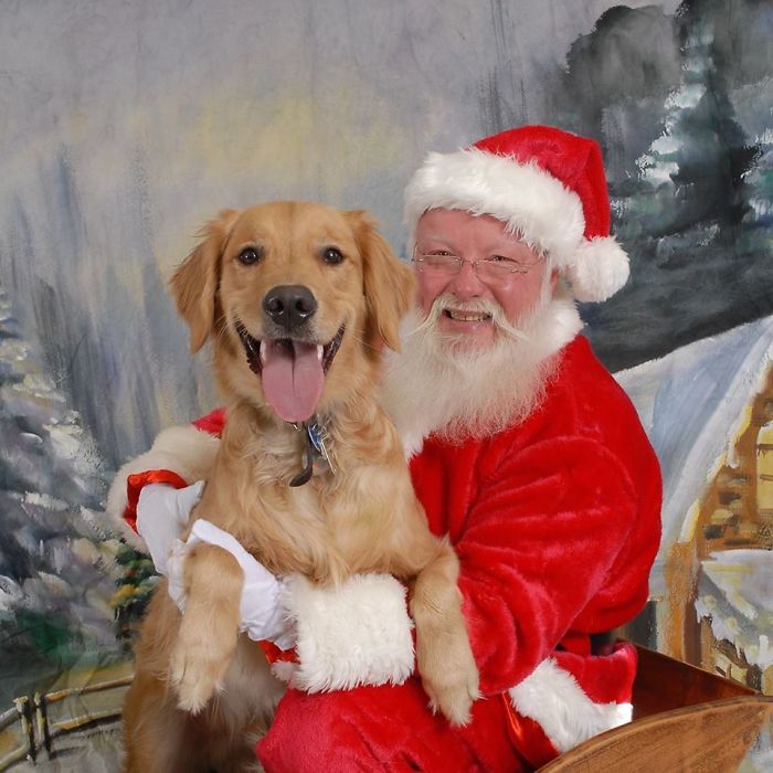 My Friend Brought Her Dog To See Santa Recently